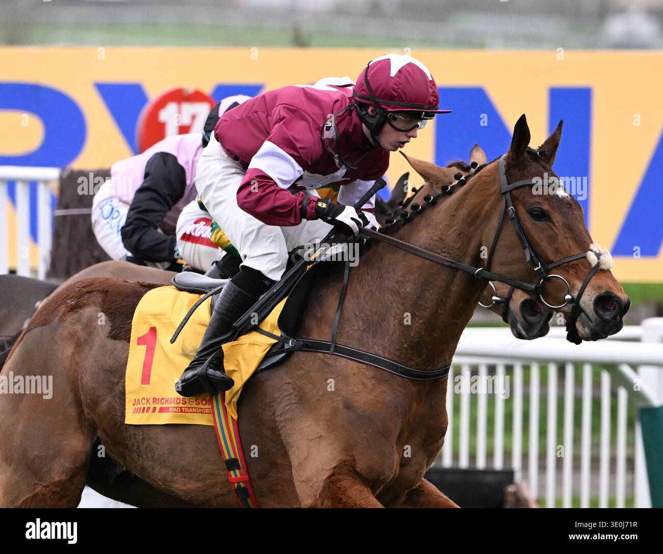 Cheltenham Racecourse, Cheltenham, Gloucestershire, UK. 12th Mar, 2026 ...