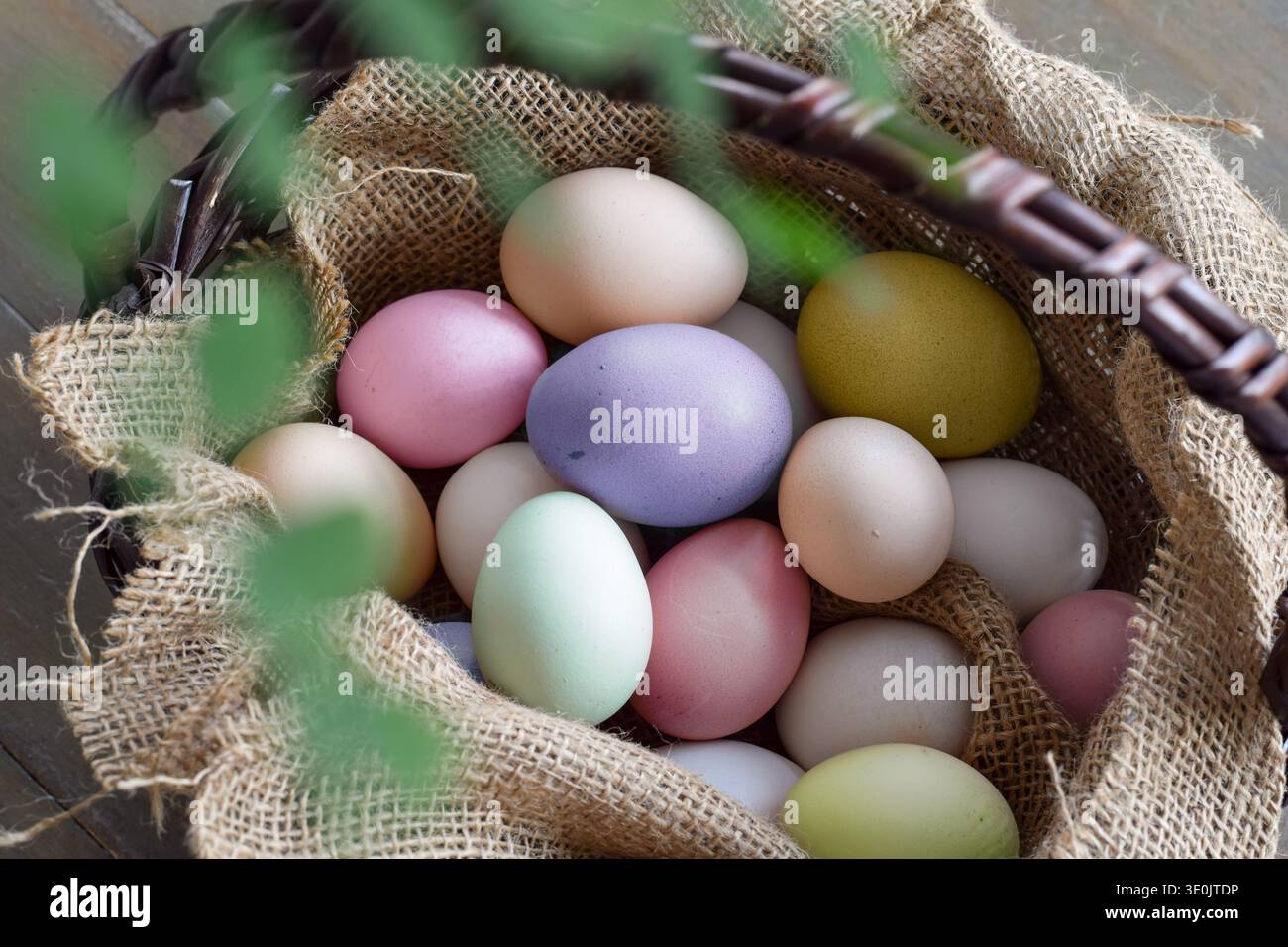 Wicker basket lined with burlap filled with pastel colored Easter eggs. Rustic spring holiday scene with soft natural light and decorative greenery Stock Photo