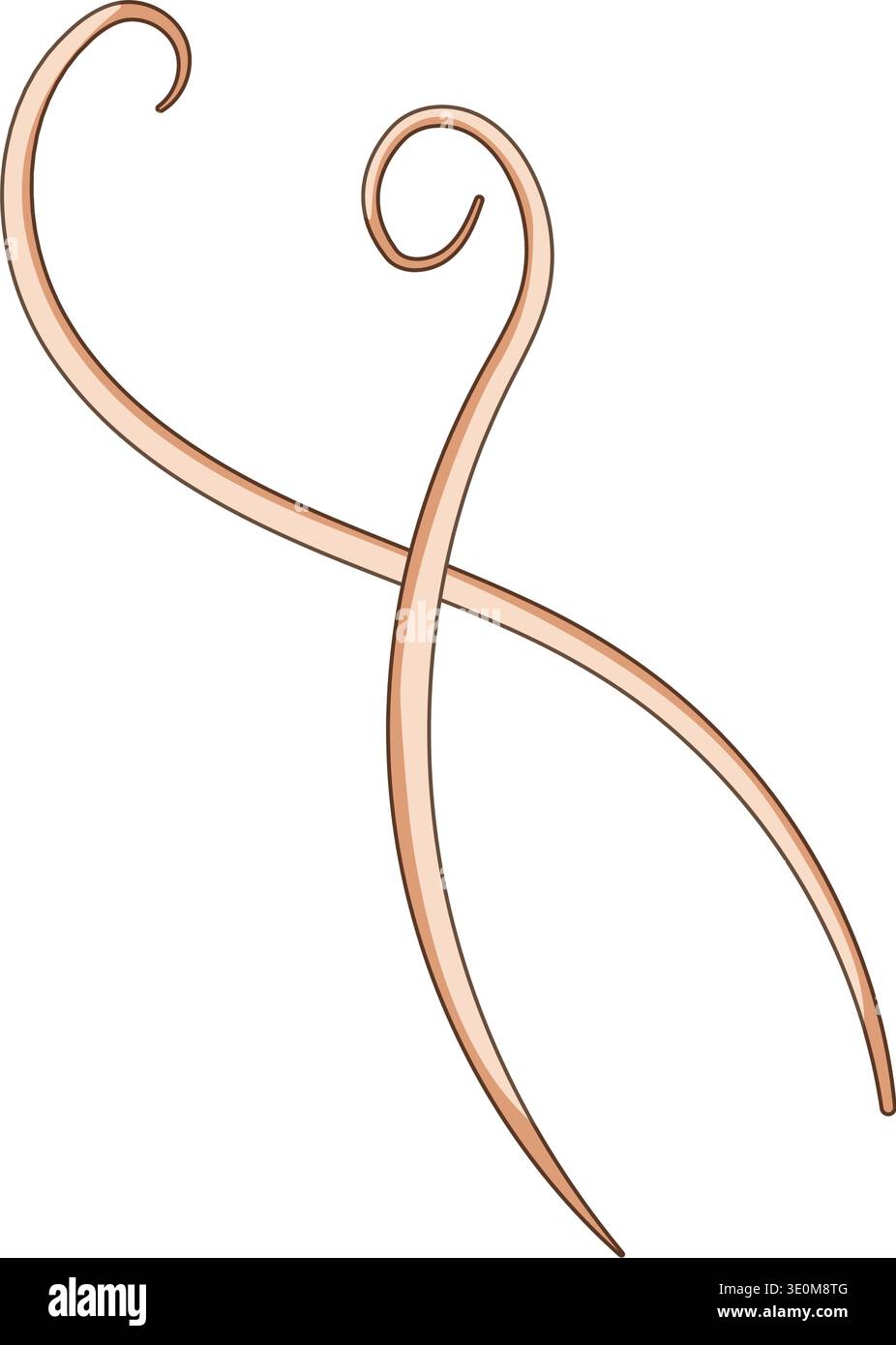Parasitic roundworm vector crossing on white background Stock Vector
