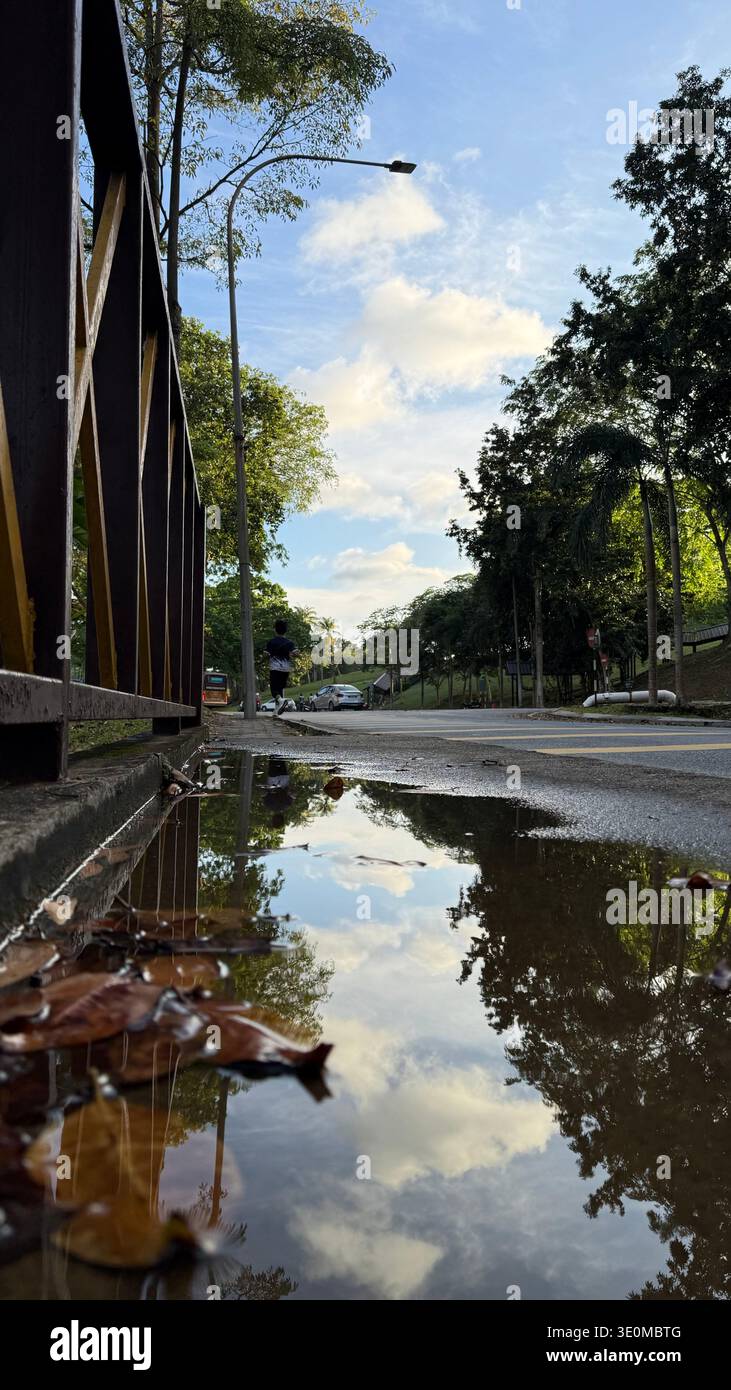 A calm urban street in Johor, Malaysia, after a rain shower. The puddle reflects the blue sky, streetlights, and surrounding trees. Perfect for themes - Smartphone Captured Stock Image