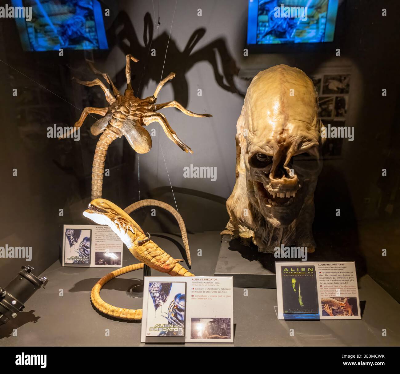 Lyon, France - 7 Jan 24: Alien franchise creature props including a facehugger and alien head on display at Musée Cinéma et Miniature, Lyon, France. Stock Photo