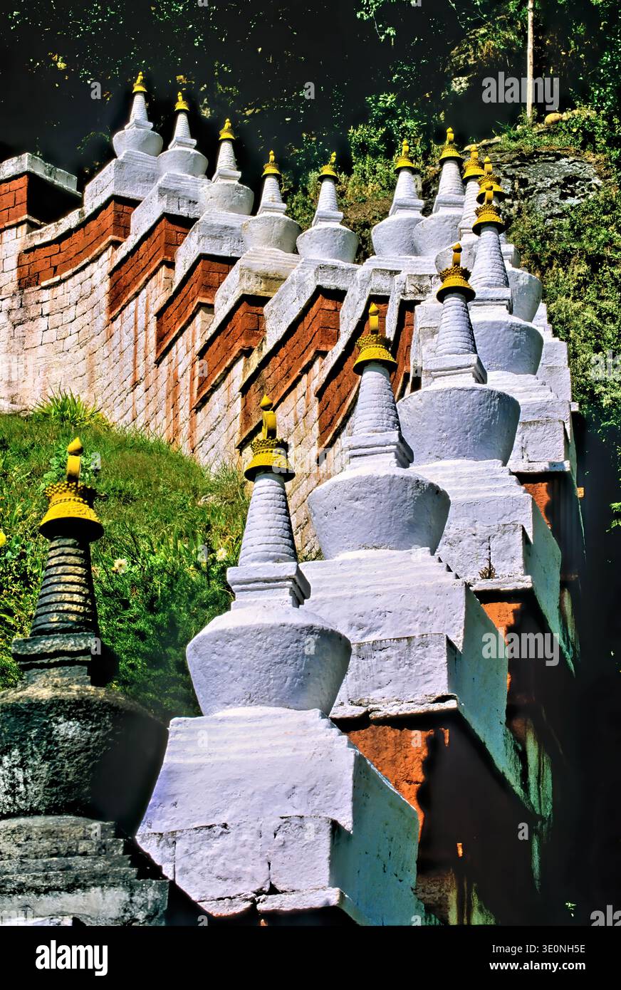 White stupas with golden spires rise along a green hillside in Bhutan, marking a site of spiritual significance and devotion. Stock Photo