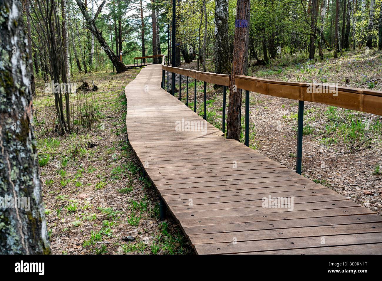 Timber Boardwalk Through Green Hi res Stock Photography And Images Alamy timber-boardwalk-through-green-hi-res-stock-photography-and-images-alamy