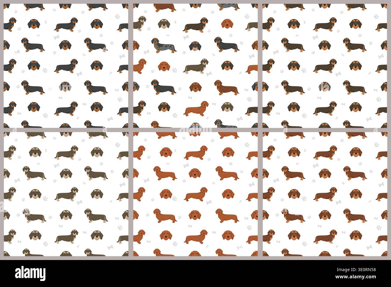 Dachshund wire haired dog seamless pattern. Different coat colors set.  Vector illustration Stock Vector