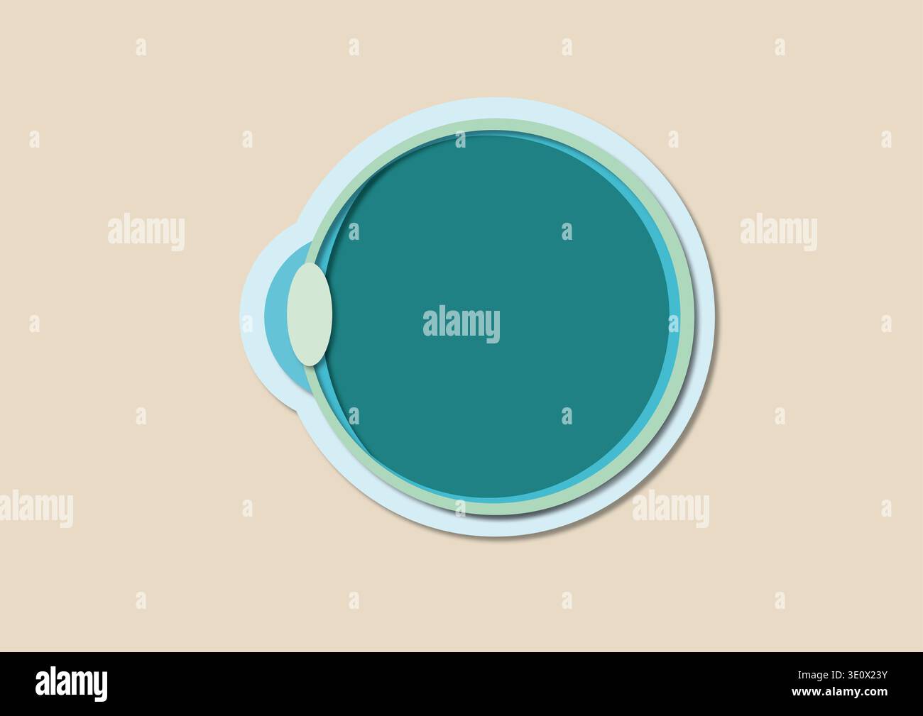 Illustration of the cross-section of the human eye Stock Photo - Alamy