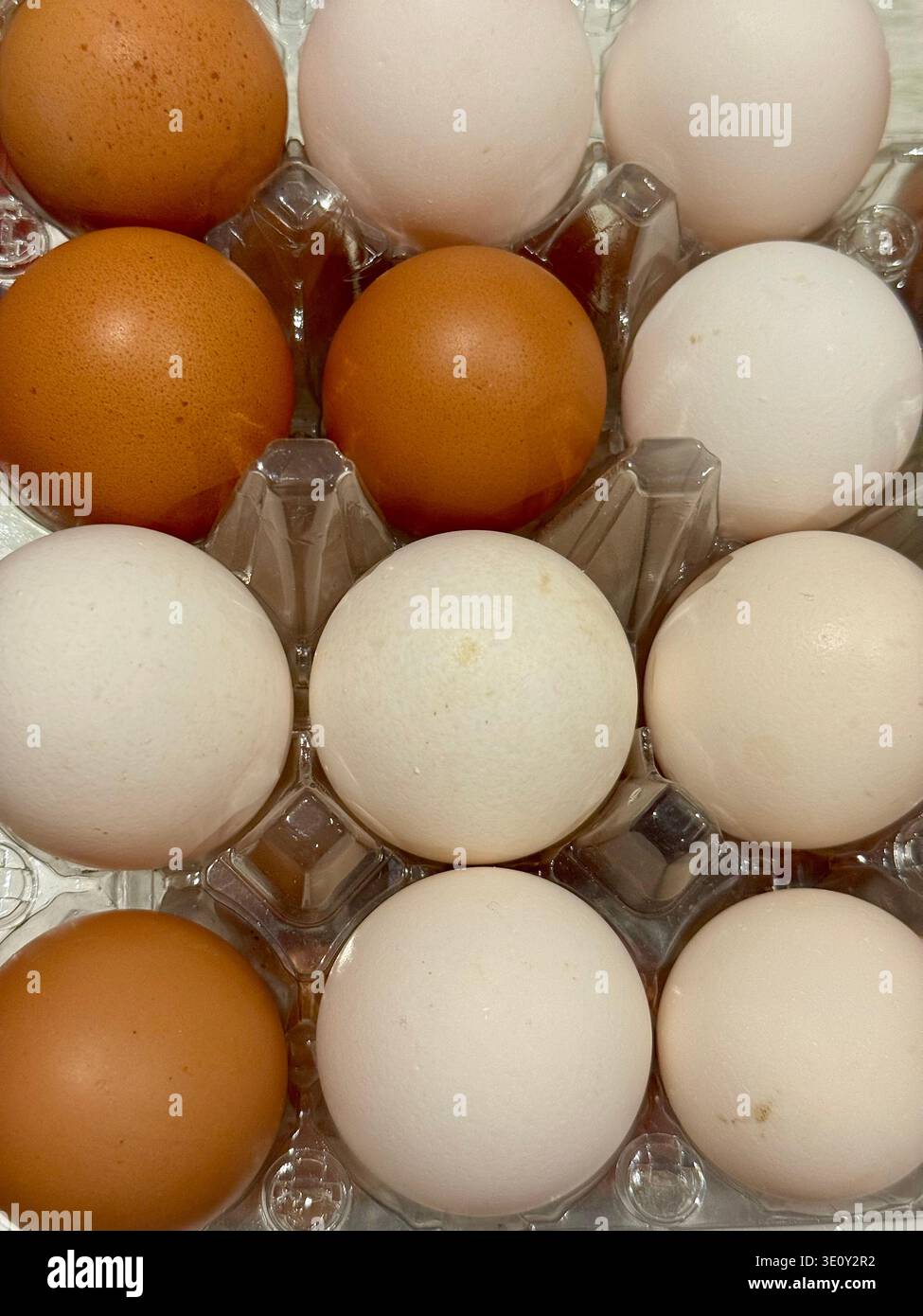 High angle close-up of mixed brown and white organic chicken eggs in a transparent plastic carton. - Smartphone Captured Stock Image