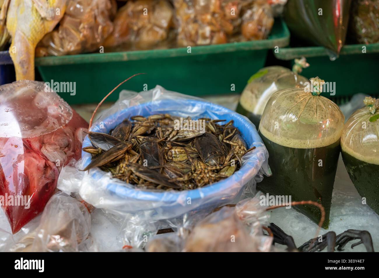 Bangkok Thailand January 16 2026. Edible water insects and packaged ...