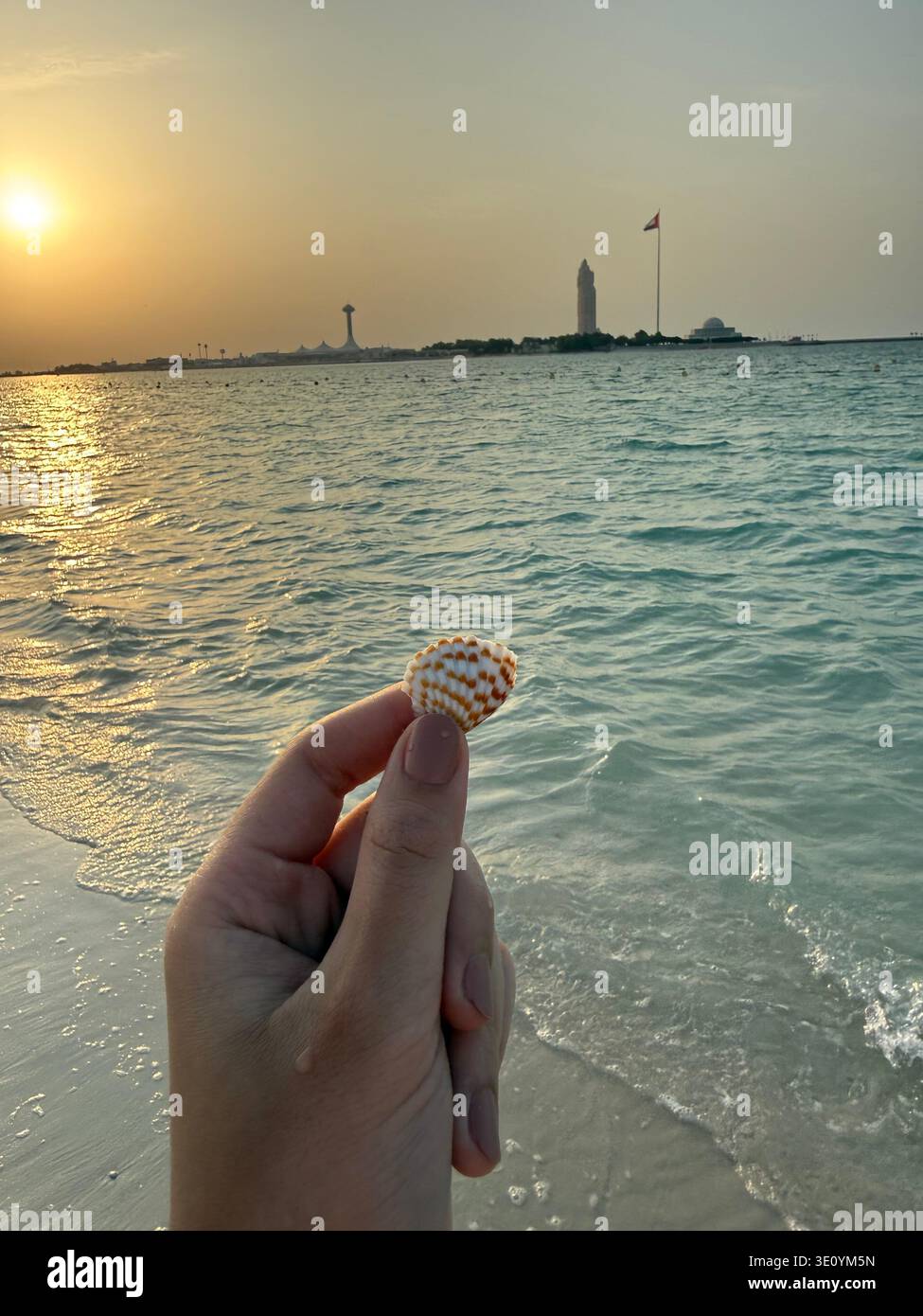 seashell at sunny day at the sea at abudhabi phone wall paper - Smartphone Captured Stock Image
