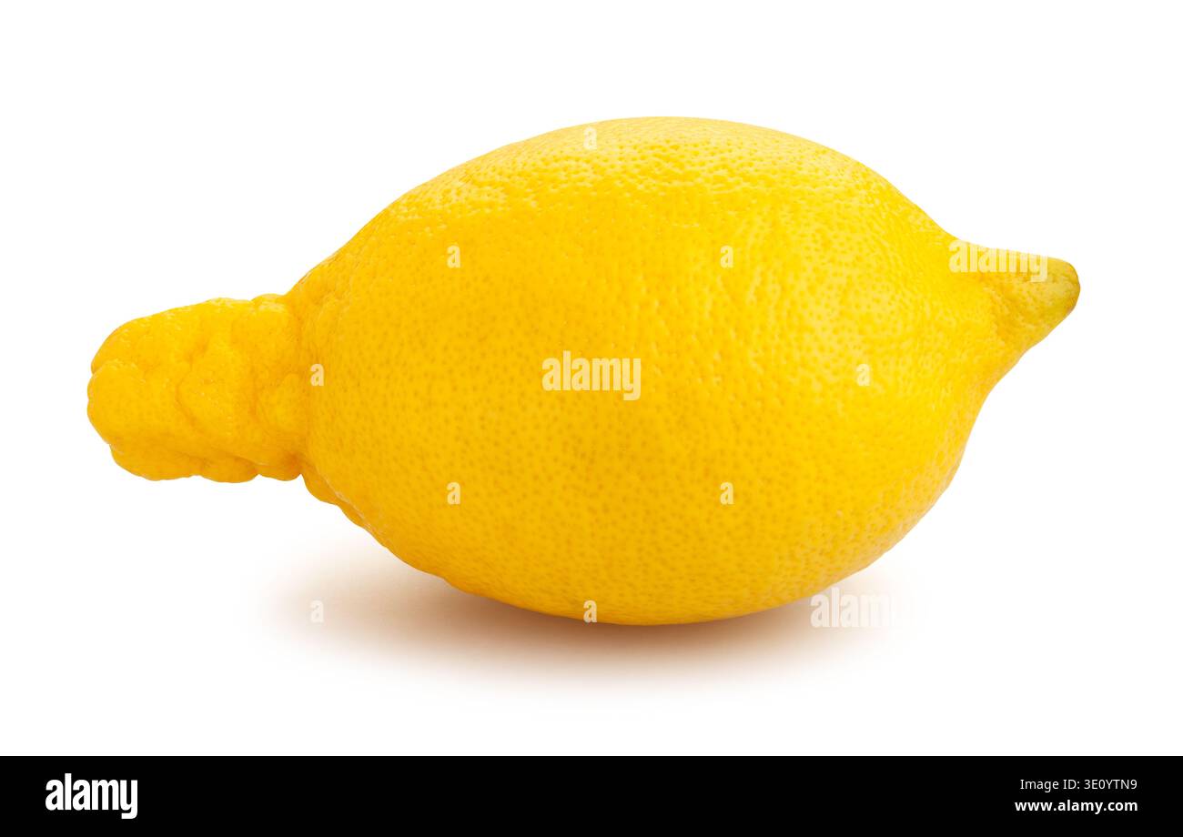 lemon path isolated on white Stock Photo