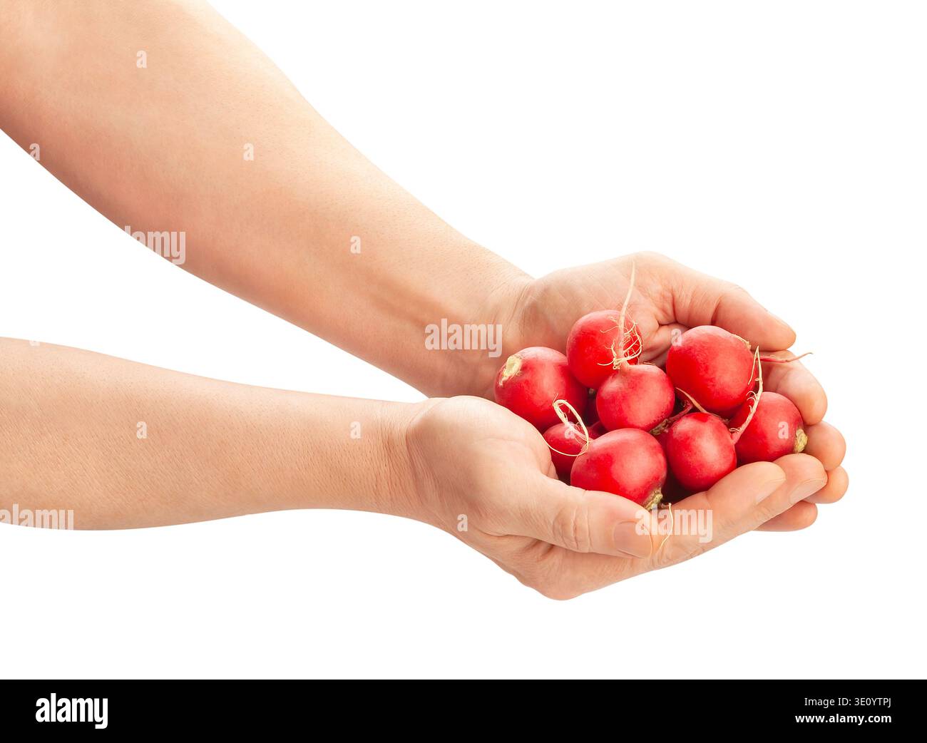 radish in hand path isolated on white Stock Photo