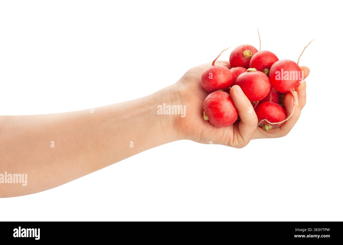 radish in hand path isolated on white Stock Photo