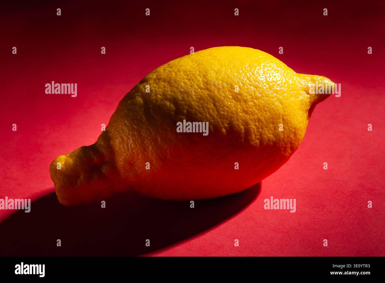 one lemon on red background Stock Photo