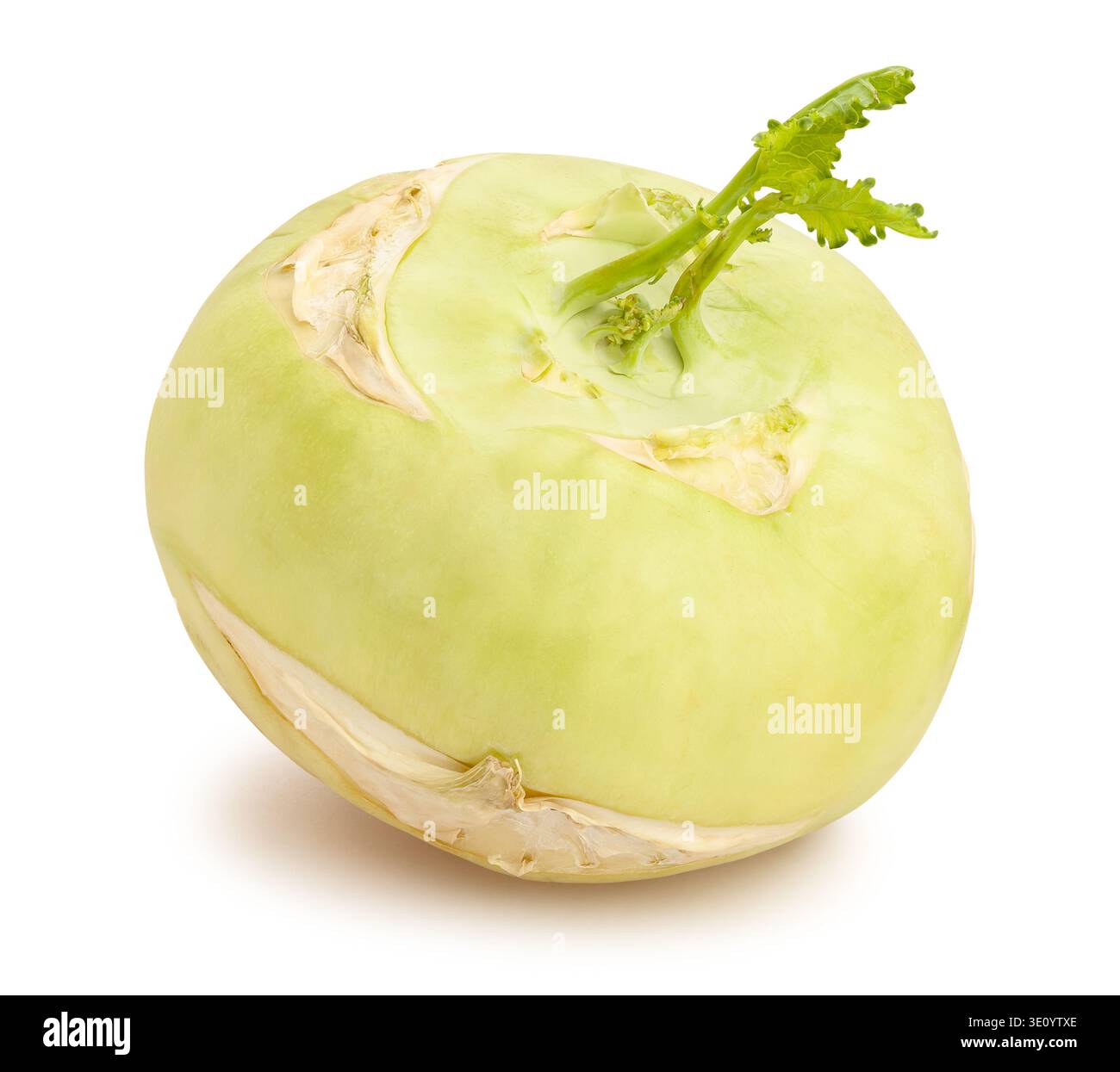 kohlrabi path isolated on white Stock Photo