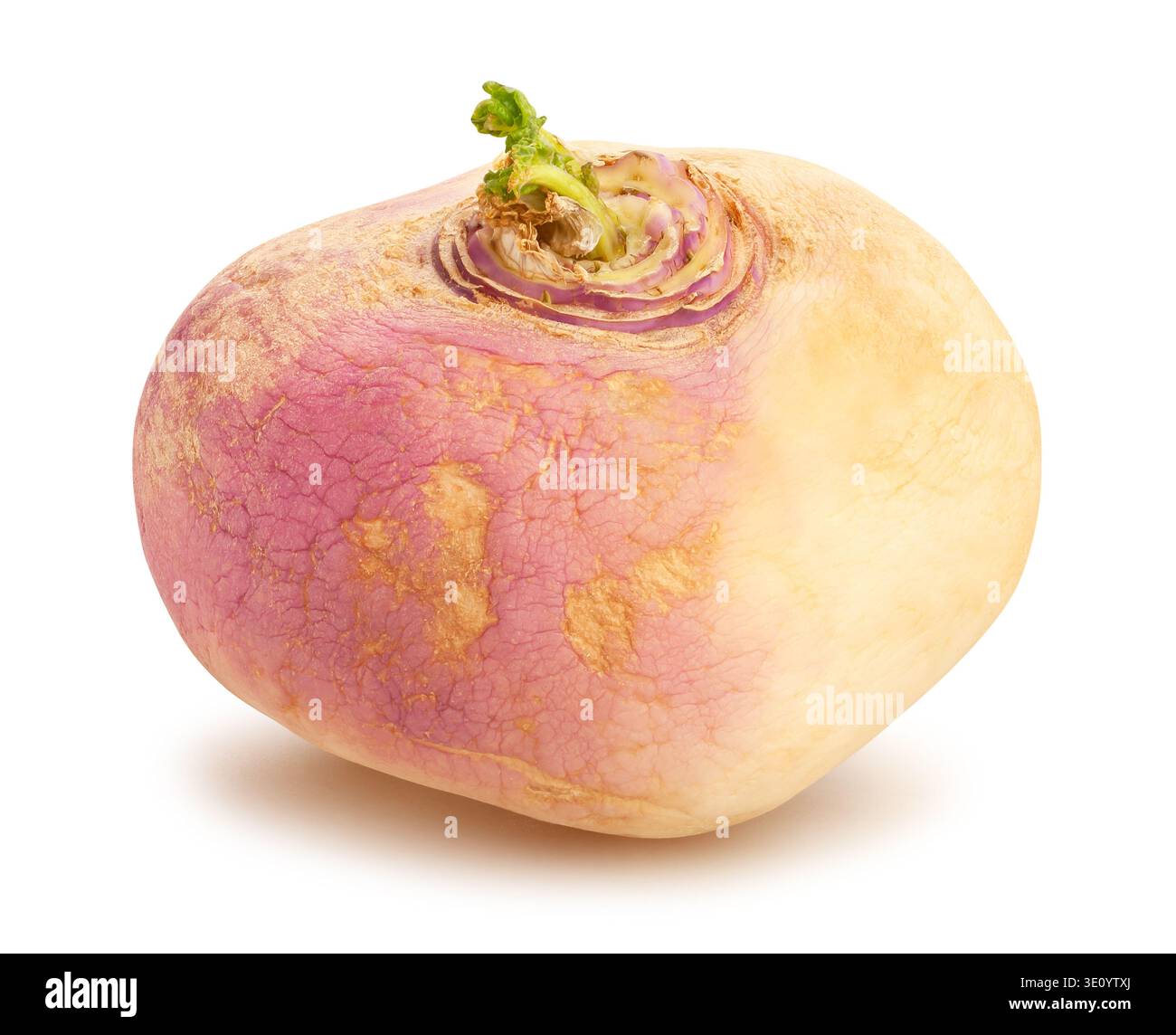 turnip path isolated on white Stock Photo