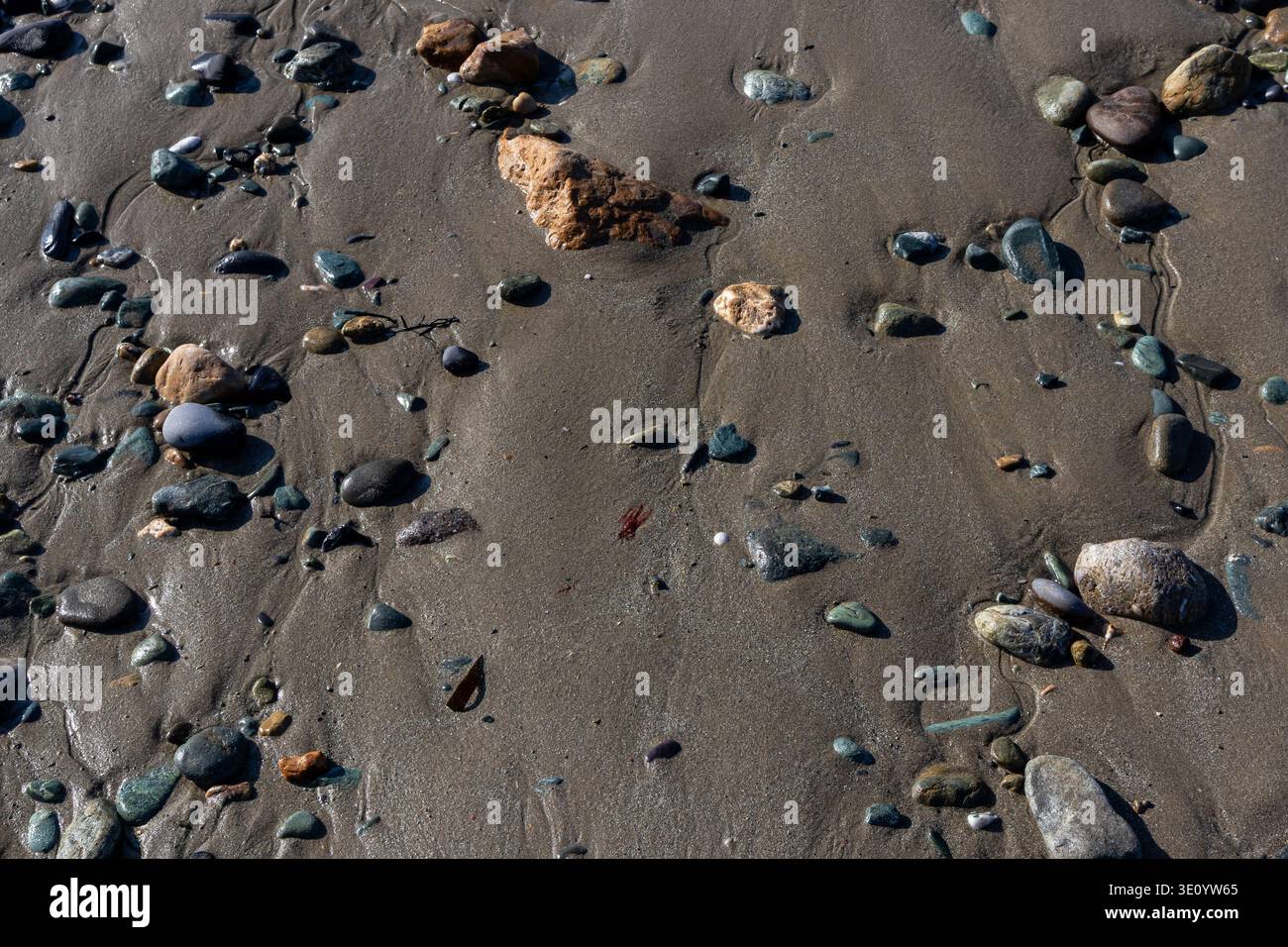 Multi colored pebbles and small stones embedded in wet textured sand on a shoreline Stock Photo