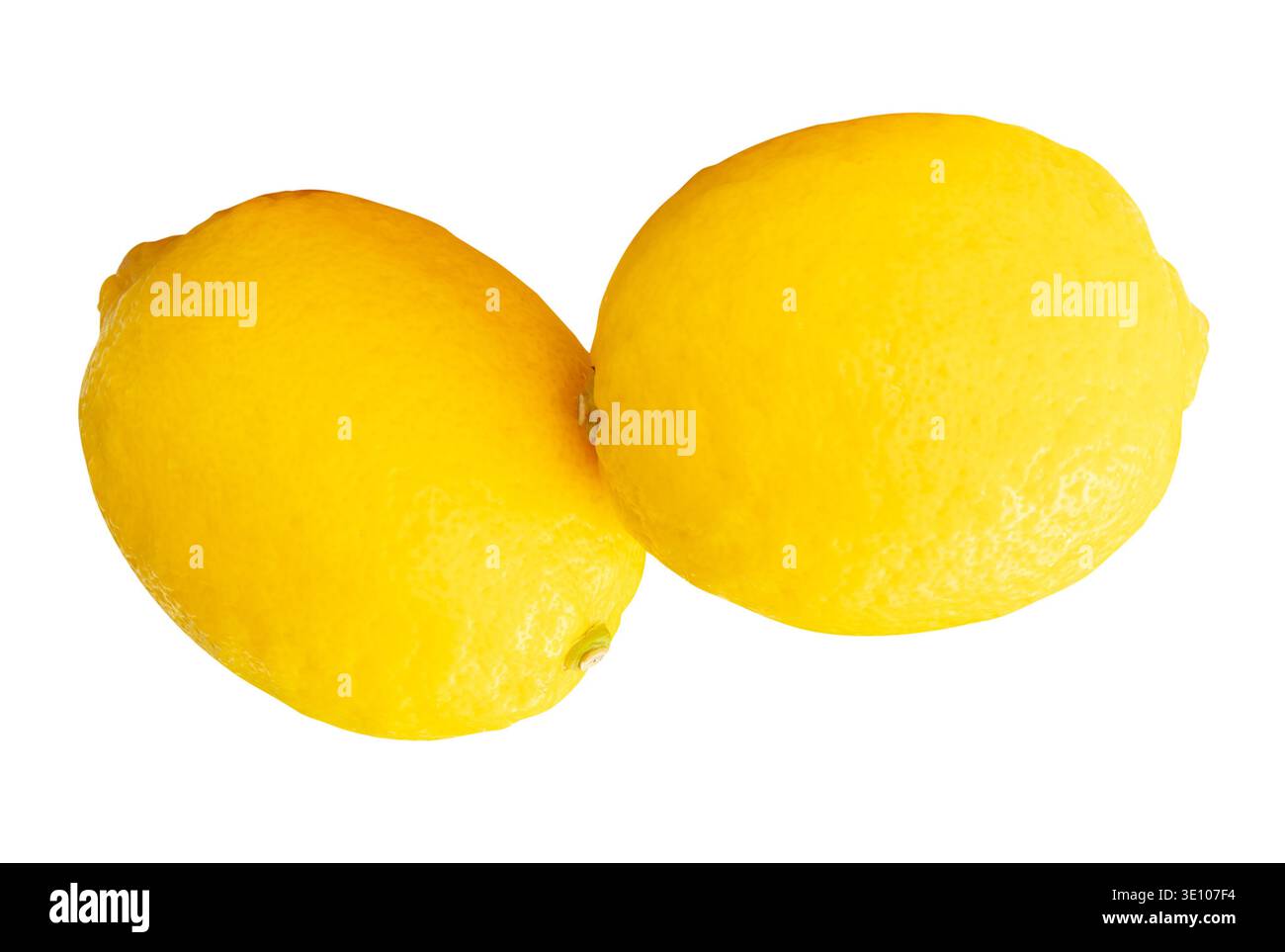 Side view of two ripe yellow lemon fruits in stack is isolated on white background with clipping path. Stock Photo