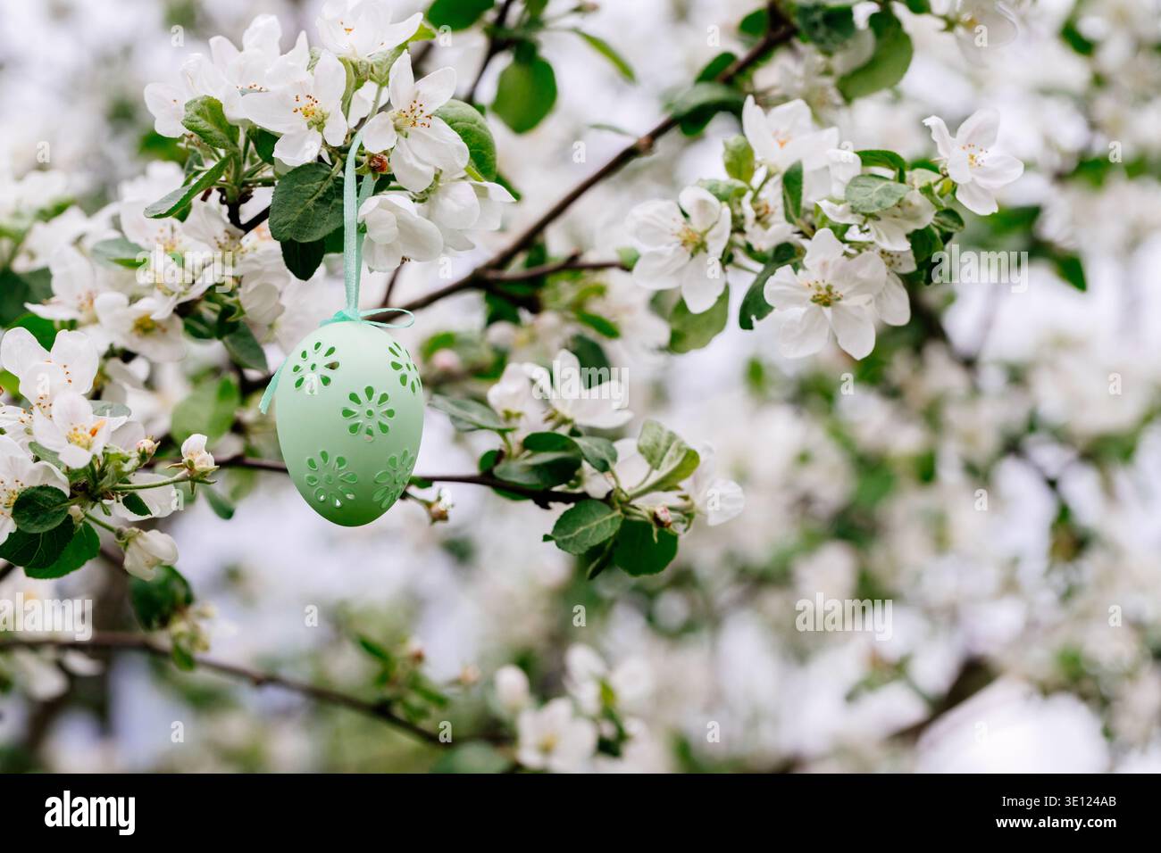 Easter green egg on a blooming apple tree. Easter greeting card. Stock Photo