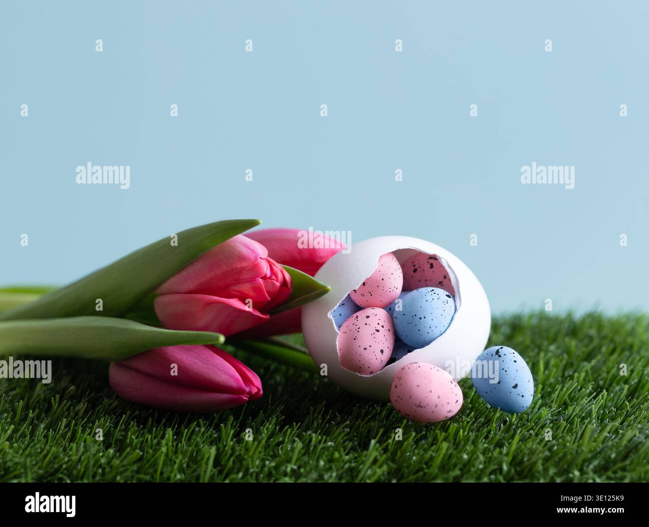 Easter colored eggs with tulips in green grass on a blue background. Beautiful Easter composition with small colorful eggs in a hatched chicken egg. C Stock Photo