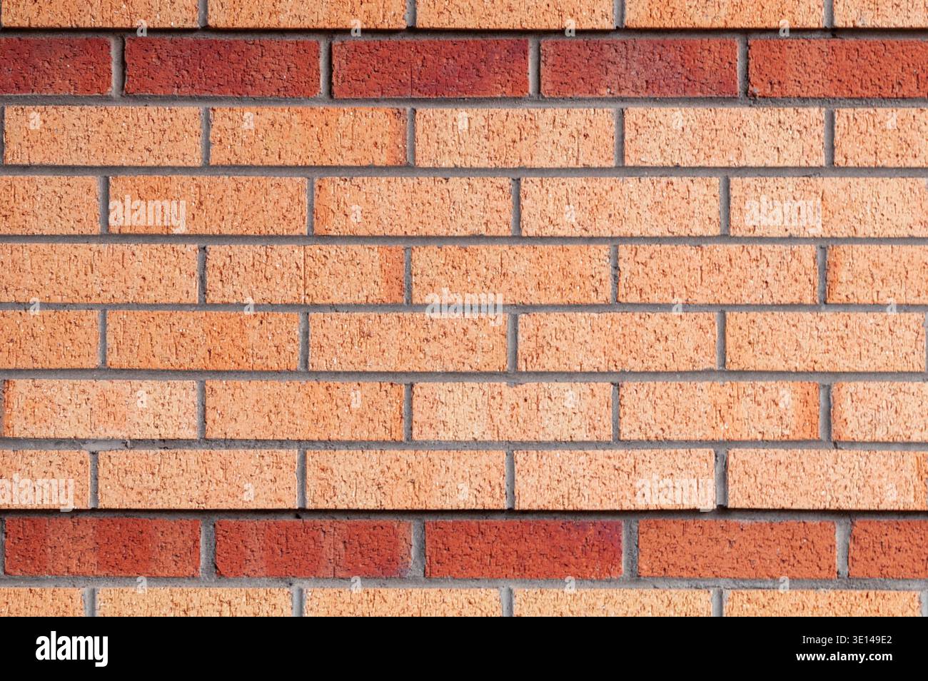 Brick wall with contrasting red and orange bricks in a structured horizontal pattern Stock Photo
