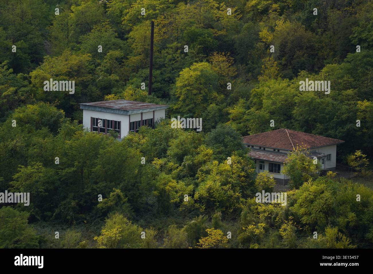 Abandoned Industrial Buildings and Concrete Structures Overtaken by Dense Green Forest and Vegetation under an Overcast Sky Stock Photo