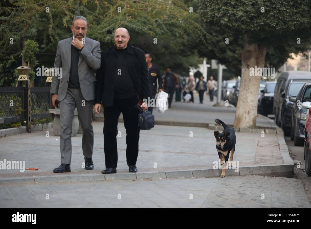 (260315) -- CAIRO, March 15, 2026 (Xinhua) -- A stray dog is seen in ...
