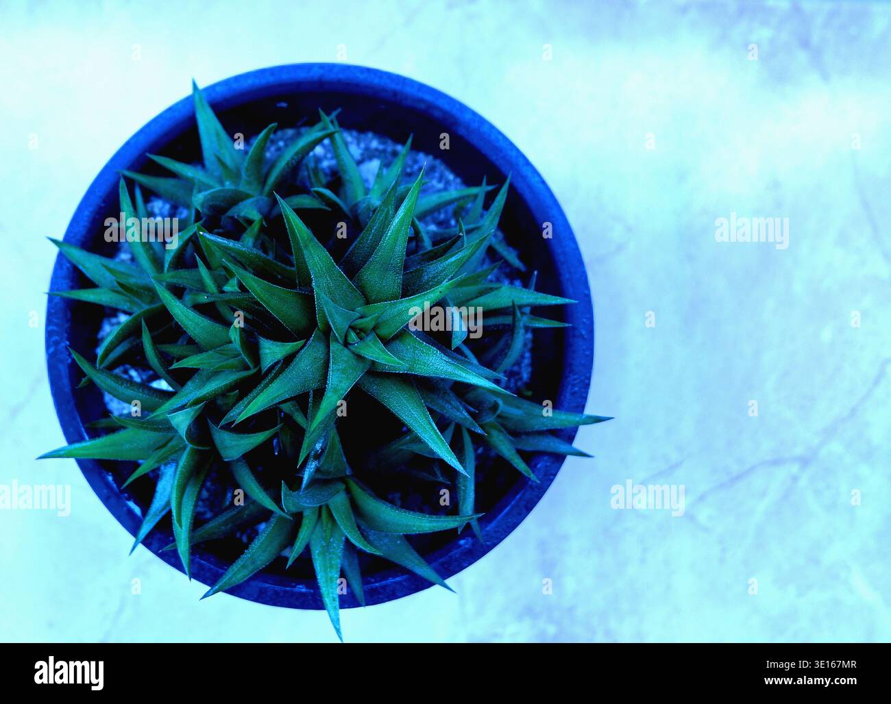 Dark teal blue green hi-res stock photography and images - Alamy