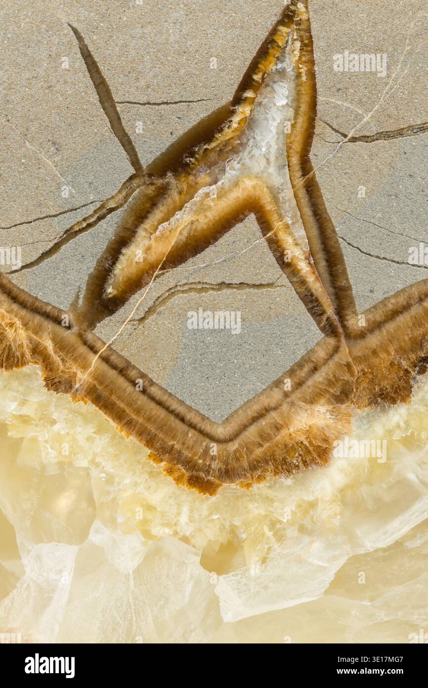 Septaria hi-res stock photography and images - Alamy
