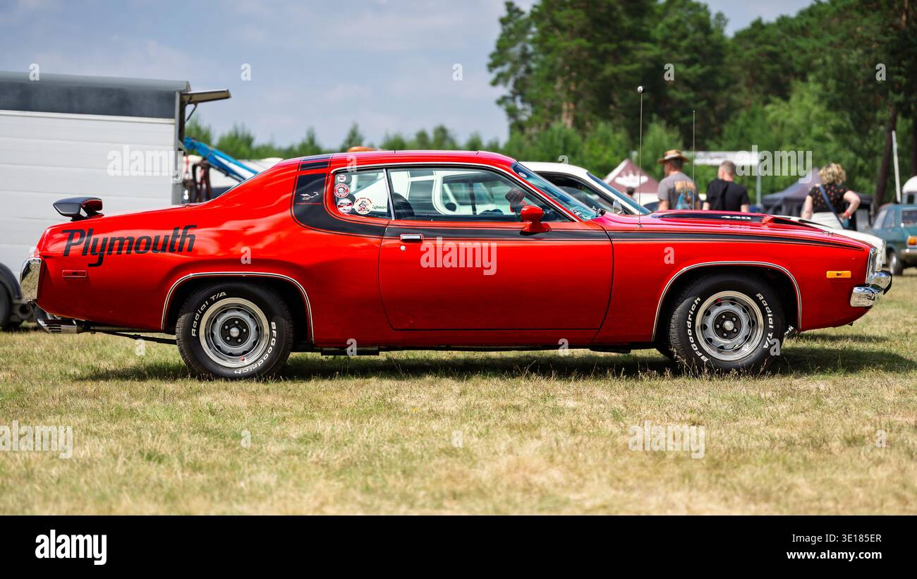Road runner hi-res stock photography and images - Alamy