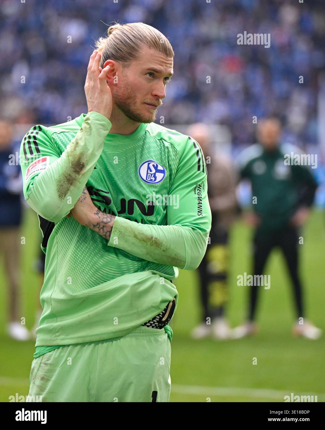 Loris karius hi-res stock photography and images - Alamy