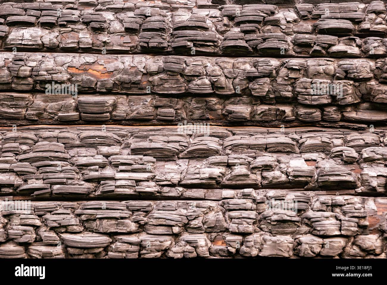 Burnt timber surface featuring black carbonized texture from fire Stock Photo
