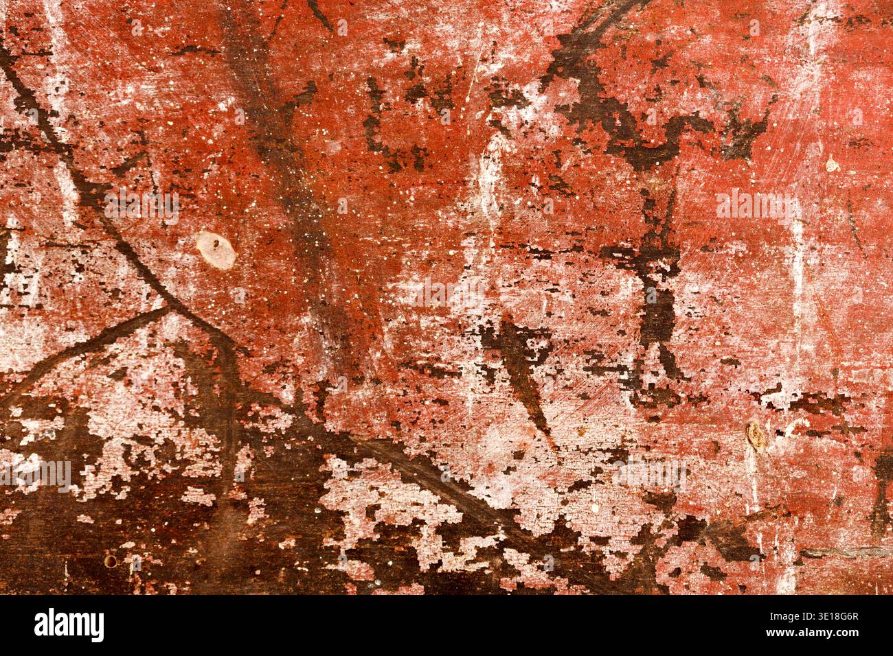 Painted wood background. Stock Photo