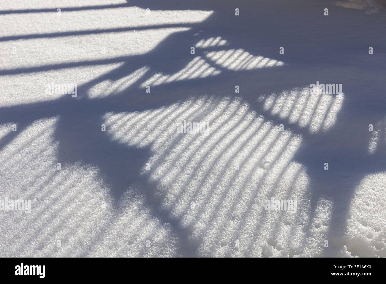 Winter abstract background with white snow surface with snow crystals and striped shadows Stock Photo