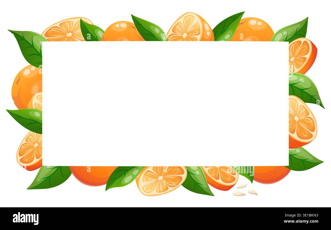 Vector illustration of rectangular frame with oranges, leaves and slices Stock Vector
