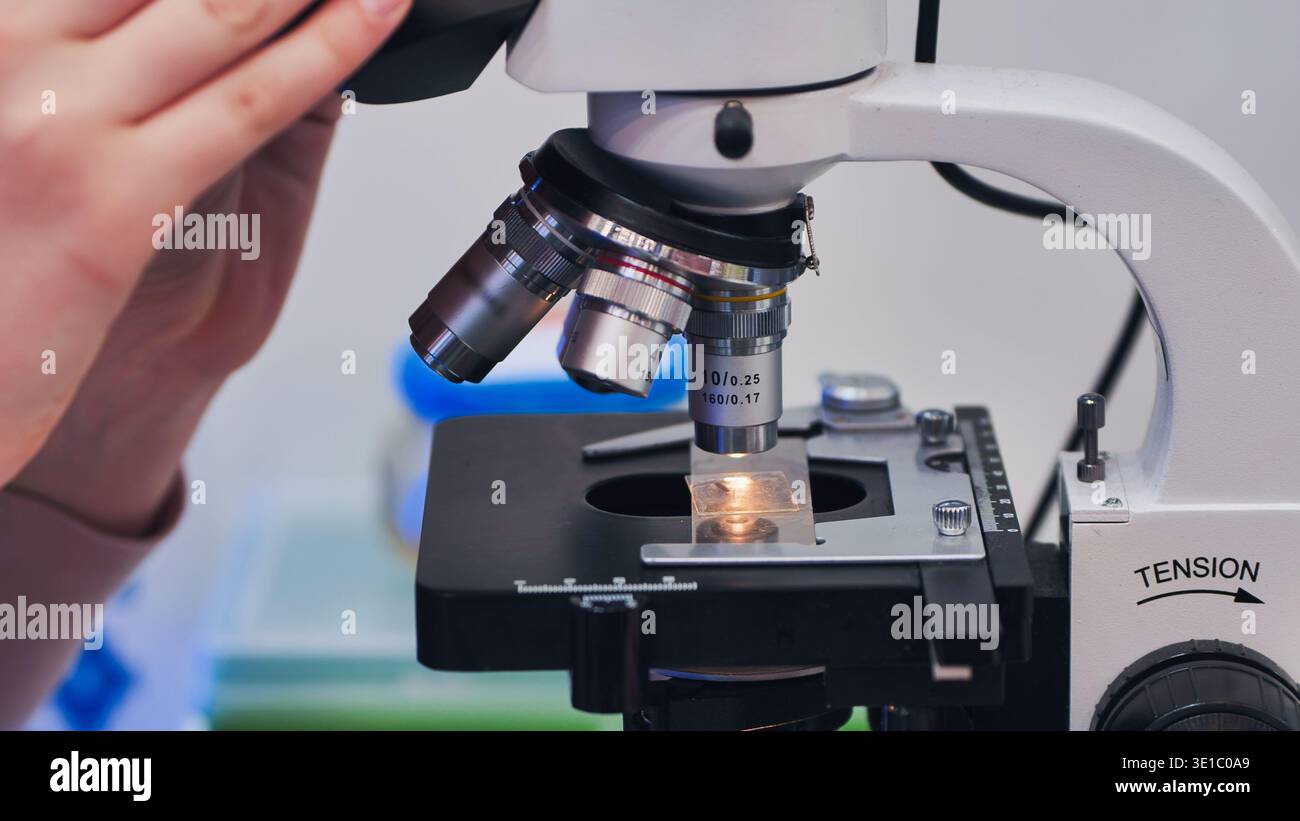 Scientist adjusting microscope, conducting research in laboratory Stock Photo