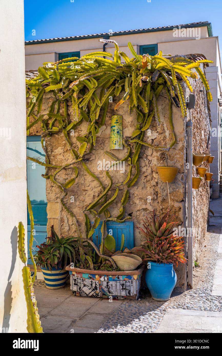 Succulent plants italy hi-res stock photography and images - Alamy