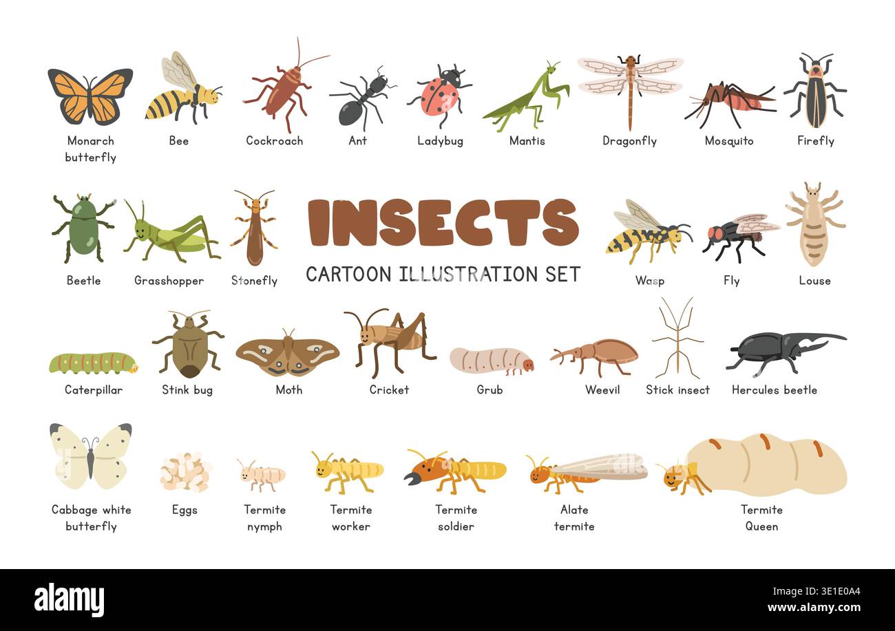 Insects and anthropods vector illustration set, cartoon clipart in flat style. Butterfly, bee, cockroach, ant, mantis, ladybug, dragonfly, beetle Stock Vector