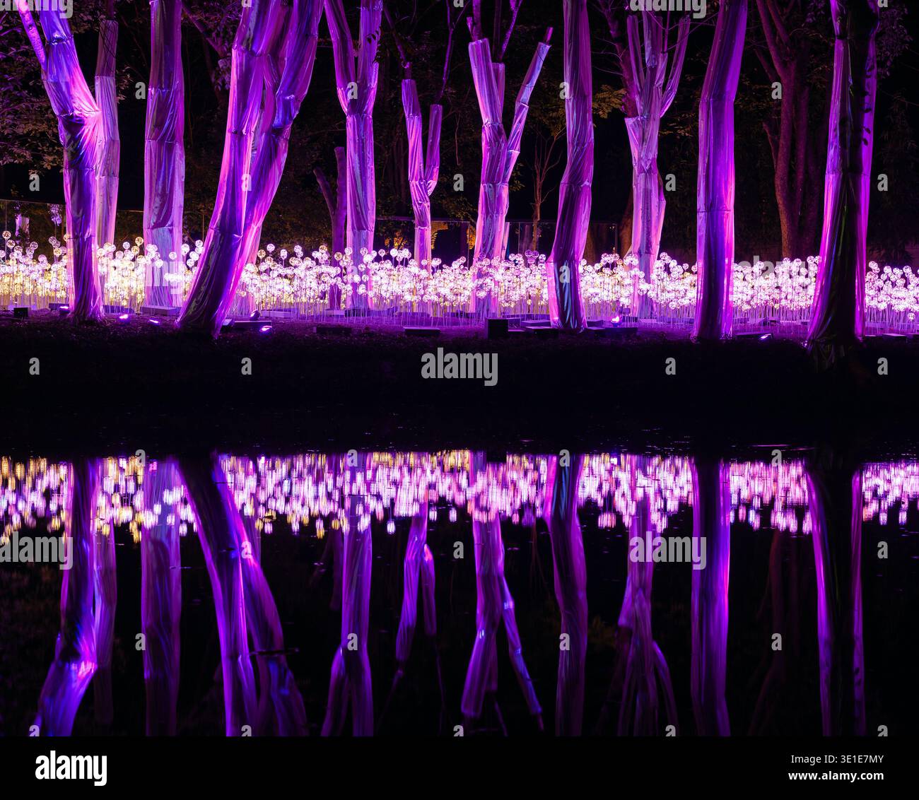 Illuminated trees at Nasatta Light Festival in Ratchaburi, Thailand ...