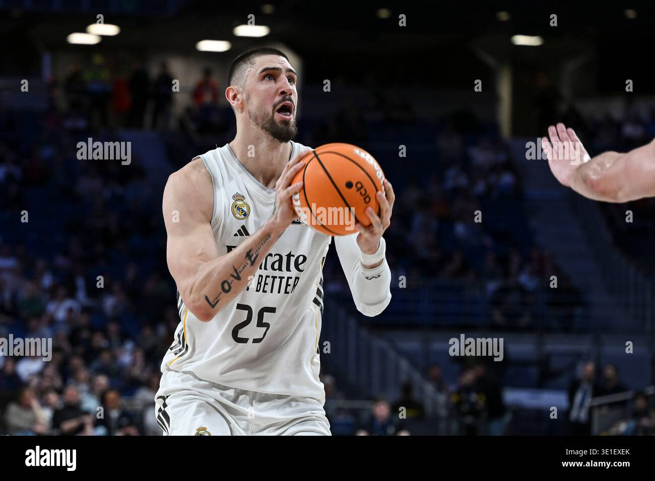 Alex Len of Real Madrid during the Spanish League, Liga ACB basketball ...
