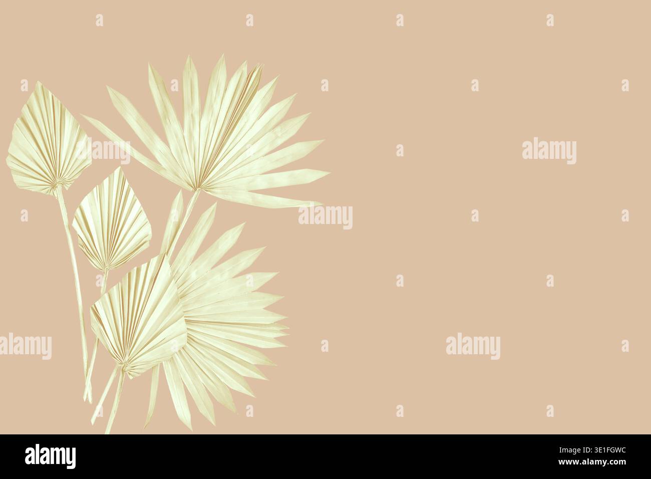 Soft pale palm leaves placed on a warm beige background with a delicate tropical aesthetic. Minimal botanical artwork perfect for wellness, beauty, br Stock Photo