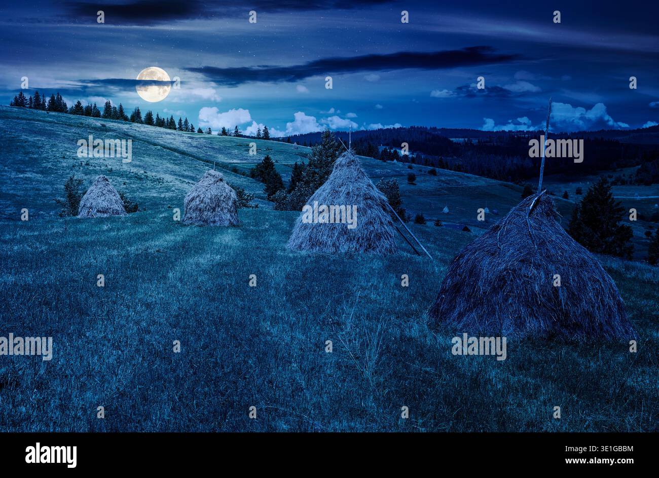 wonderful haystacks in a row on a grassy hay field at night. full moon over beautiful rural scenery with pasture in summer. mysterious agriculture lan Stock Photo