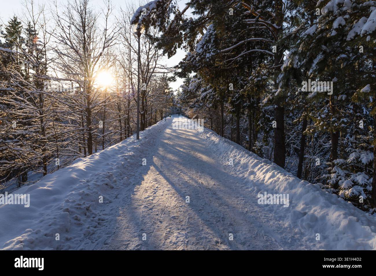 Snow covered winter road through forest at sunset light Stock Photo