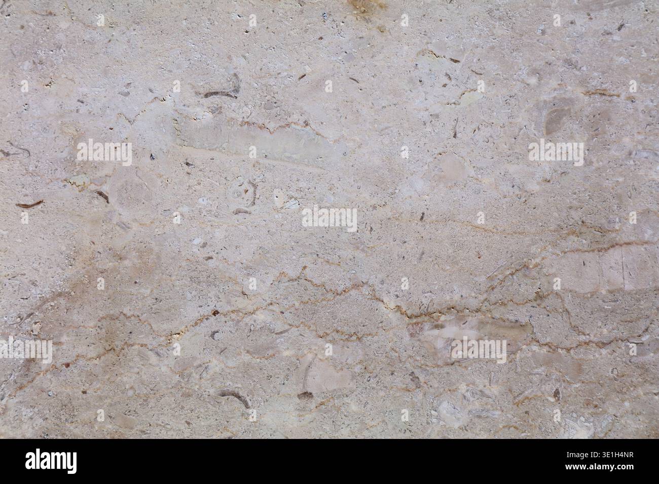 Marble natural stone background. Fossil marble slab surface backdrop. Stock Photo
