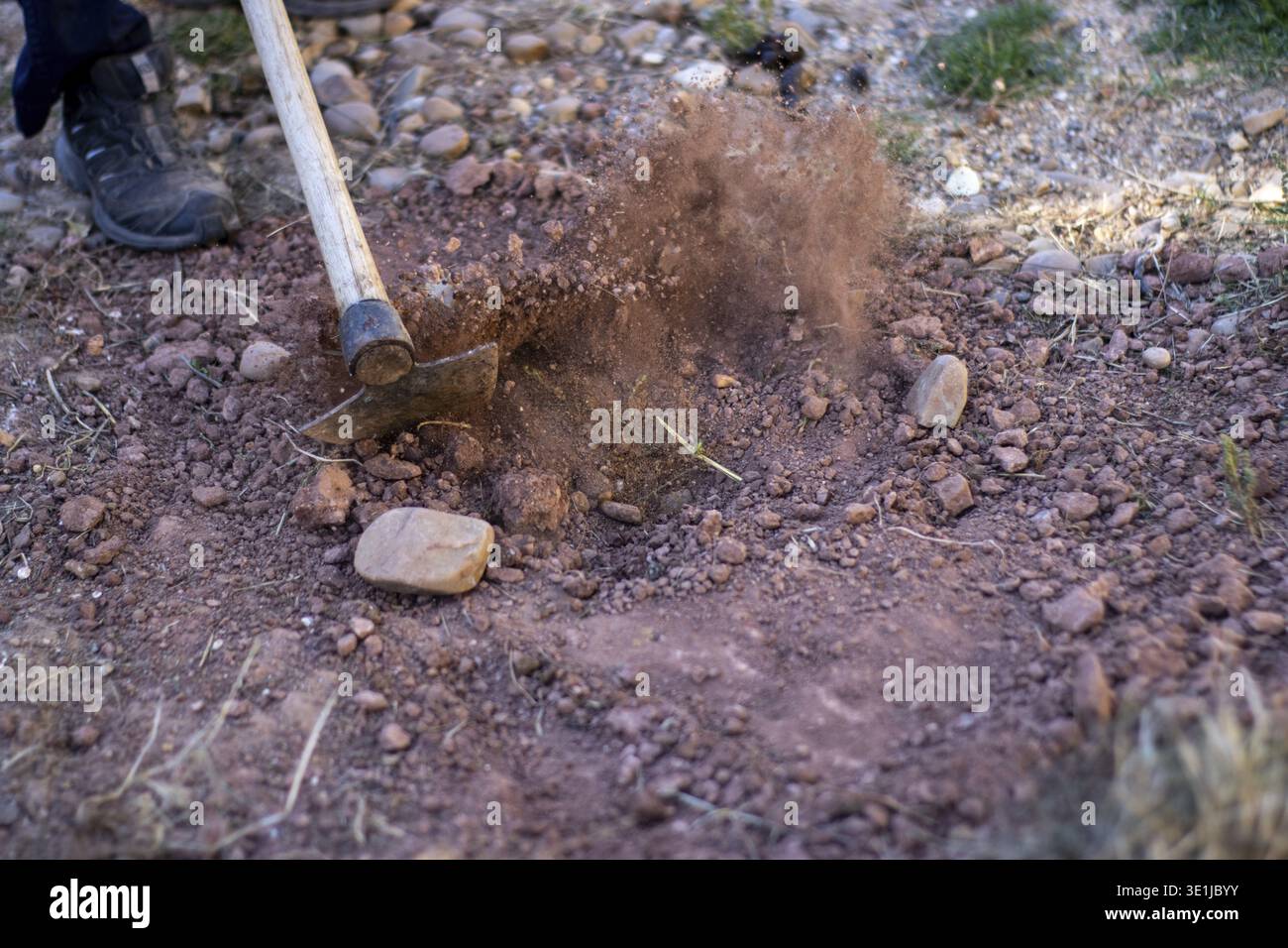 Worker using pickaxe to dig red soil, creating dust cloud, during outdoor work Stock Photo