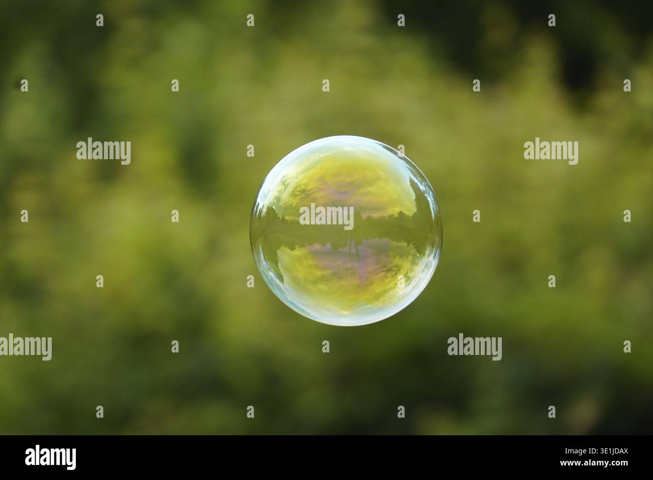 Reflection in the soap bubble Stock Photo