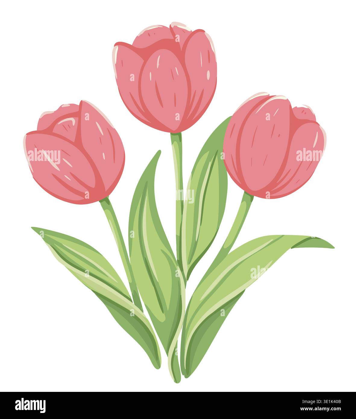 Delicate pink tulips illustration Stock Vector