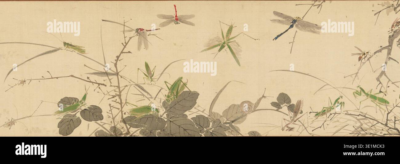 Japanese Insects Rural Historical Japanese natural history painting Insects and Grasses, by ...