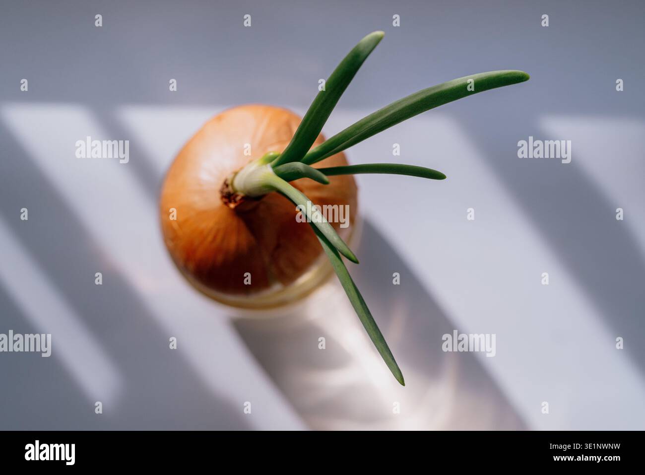 Overhead natural light hi-res stock photography and images - Alamy