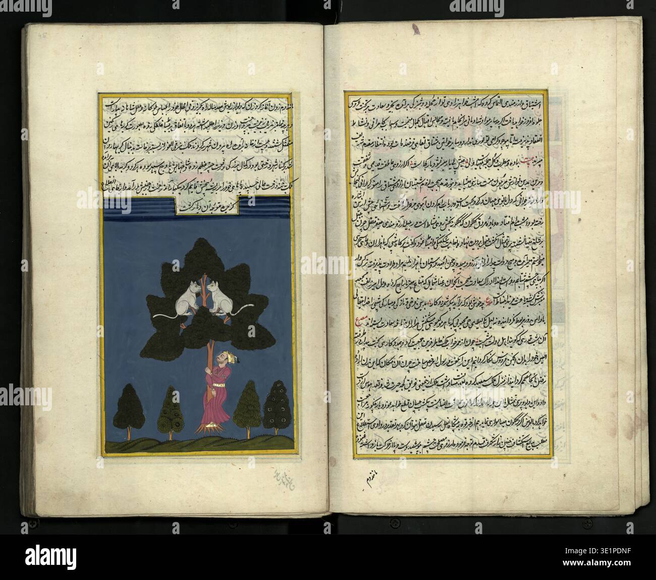 1784 persian manuscript codex hi-res stock photography and images - Alamy