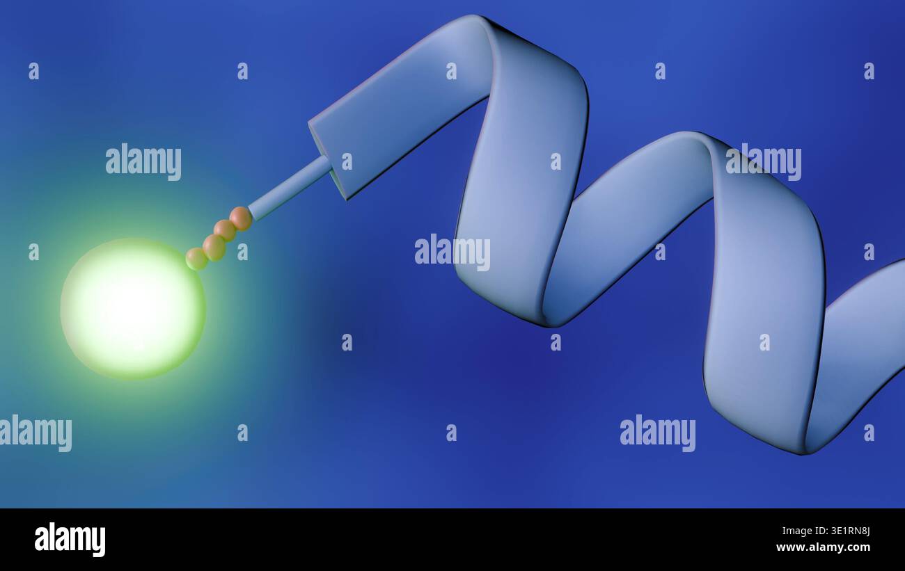 A 3D rendering of a peptide linker probe. A glowing green fluorophore ...