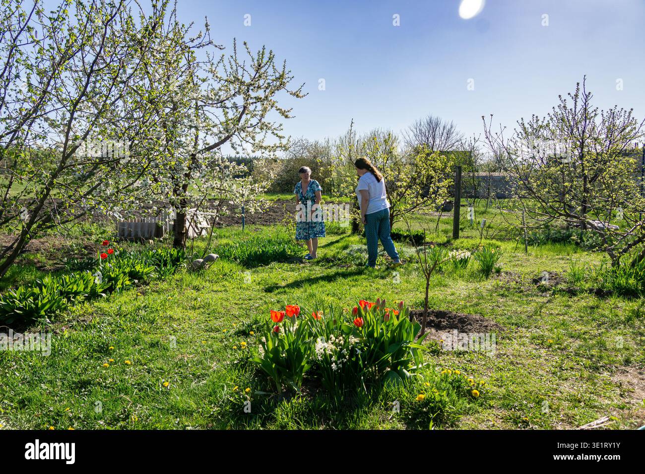 Human stages of development hi-res stock photography and images - Alamy